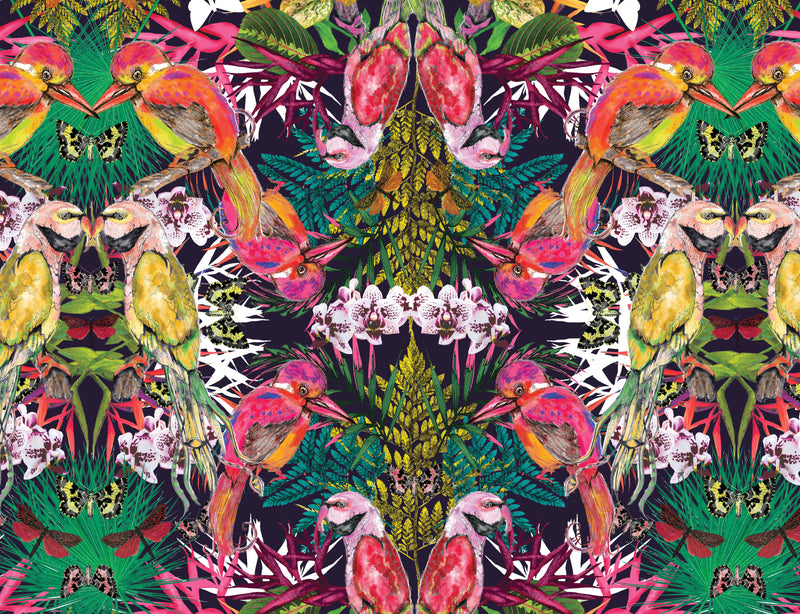Birds of Paradise Tray 1, Season 1