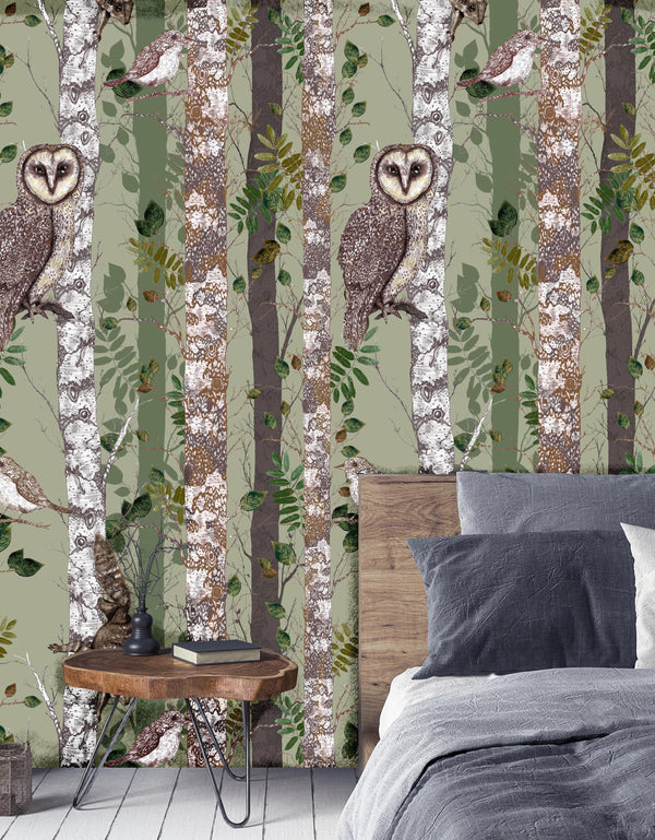 The Forest at Twilight Wallpaper, Sage, Season 1