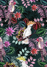 The Parrot and the Cockatoo 2, Forest Green, Framed/Unframed Art Print, Varied Sizes, Season 1