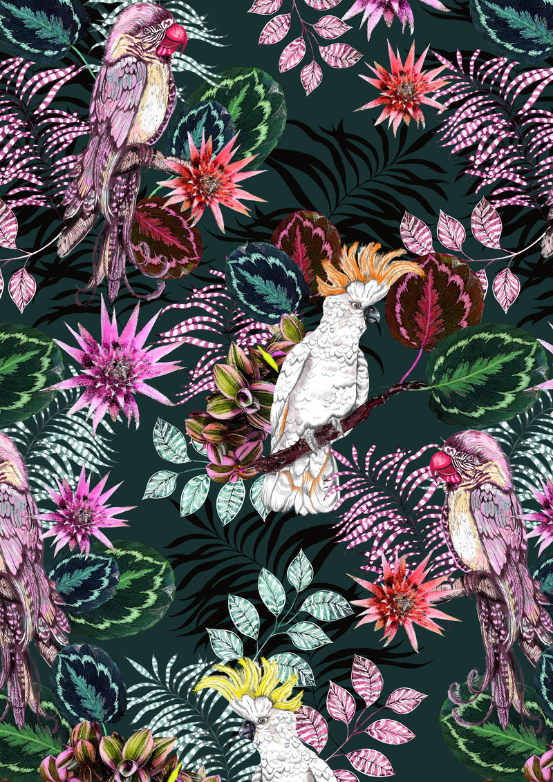 The Parrot and the Cockatoo 2, Forest Green, Framed/Unframed Art Print, Varied Sizes, Season 1